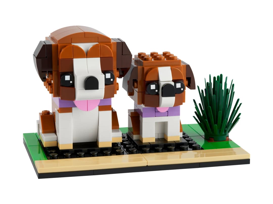 St. Bernard — зображення 1 з 7