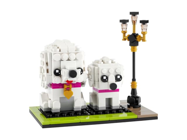 Poodle