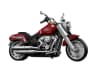 Harley-Davidson® Fat Boy® — мініатюра 3 з 19