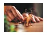 Клуб Ельфів — мініатюра 20 з 34