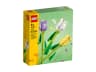 Tulips — мініатюра 2 з 3