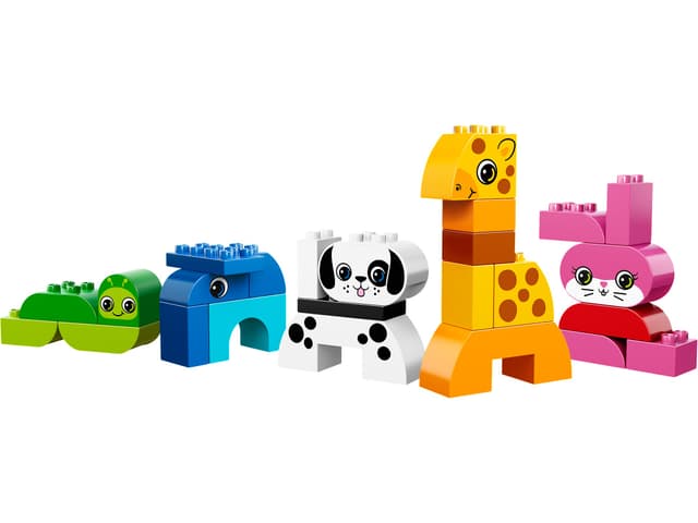 Creative Animals