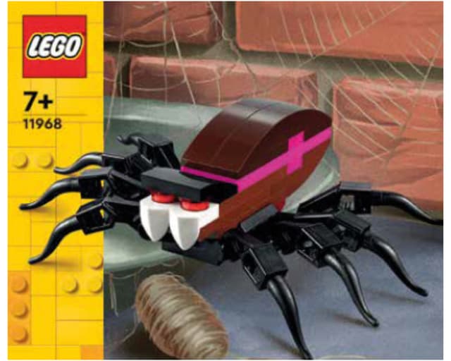 Spider