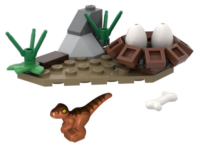 Baby Raptor and Nest