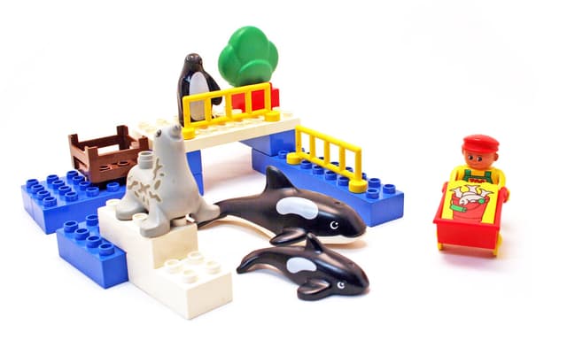 Water Animals