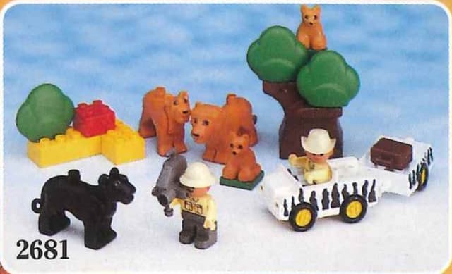Lion Safari