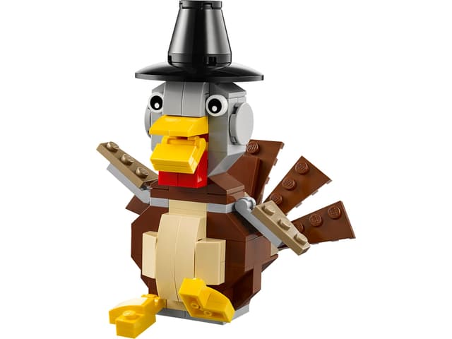 Thanksgiving Turkey