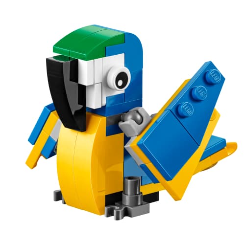 MMB June  - Parrot