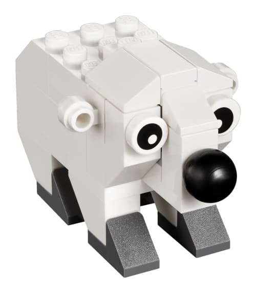 MMB Jan 2016 Polar Bear