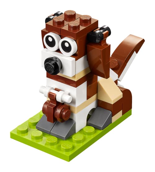 MMB Nov 2017 Dog