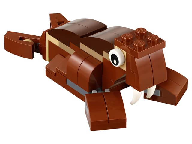 MMB Jan 2018 Walrus