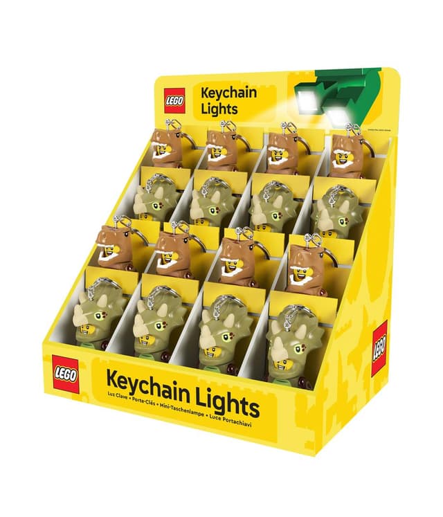 Dinosaur Key Light Display
