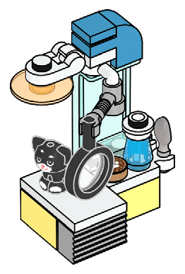 Kitten at the Vet