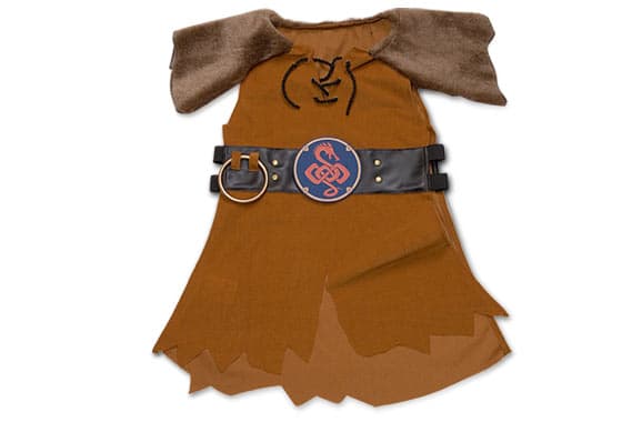 Viking Armor