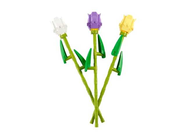 Tulips