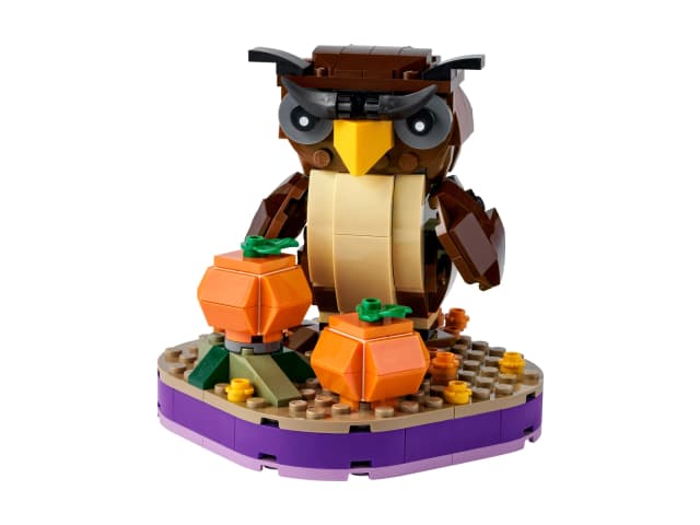 Halloween Owl