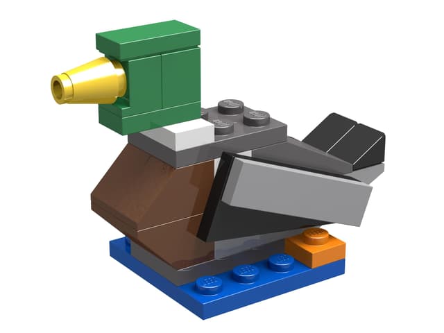 Duck