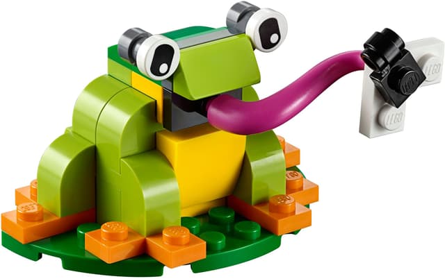 MMB Jun 2019 Frog